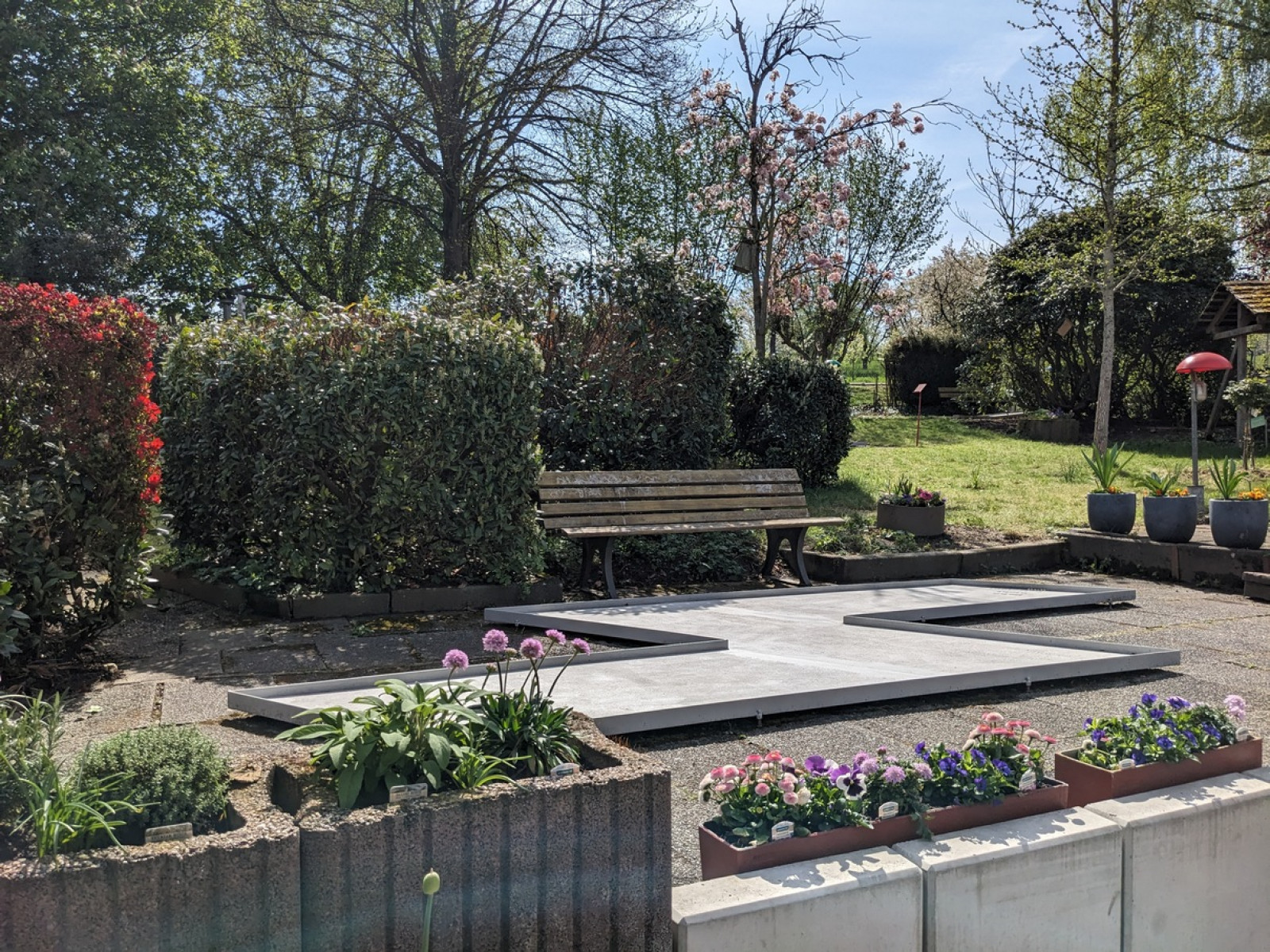 PXL 20250419 094219301.klein