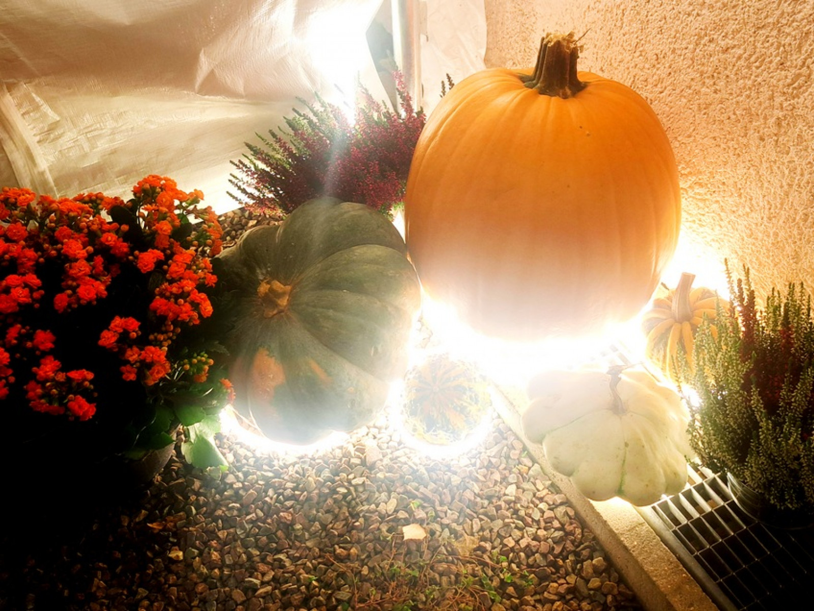 Kürbis Deko Lichtschlauch