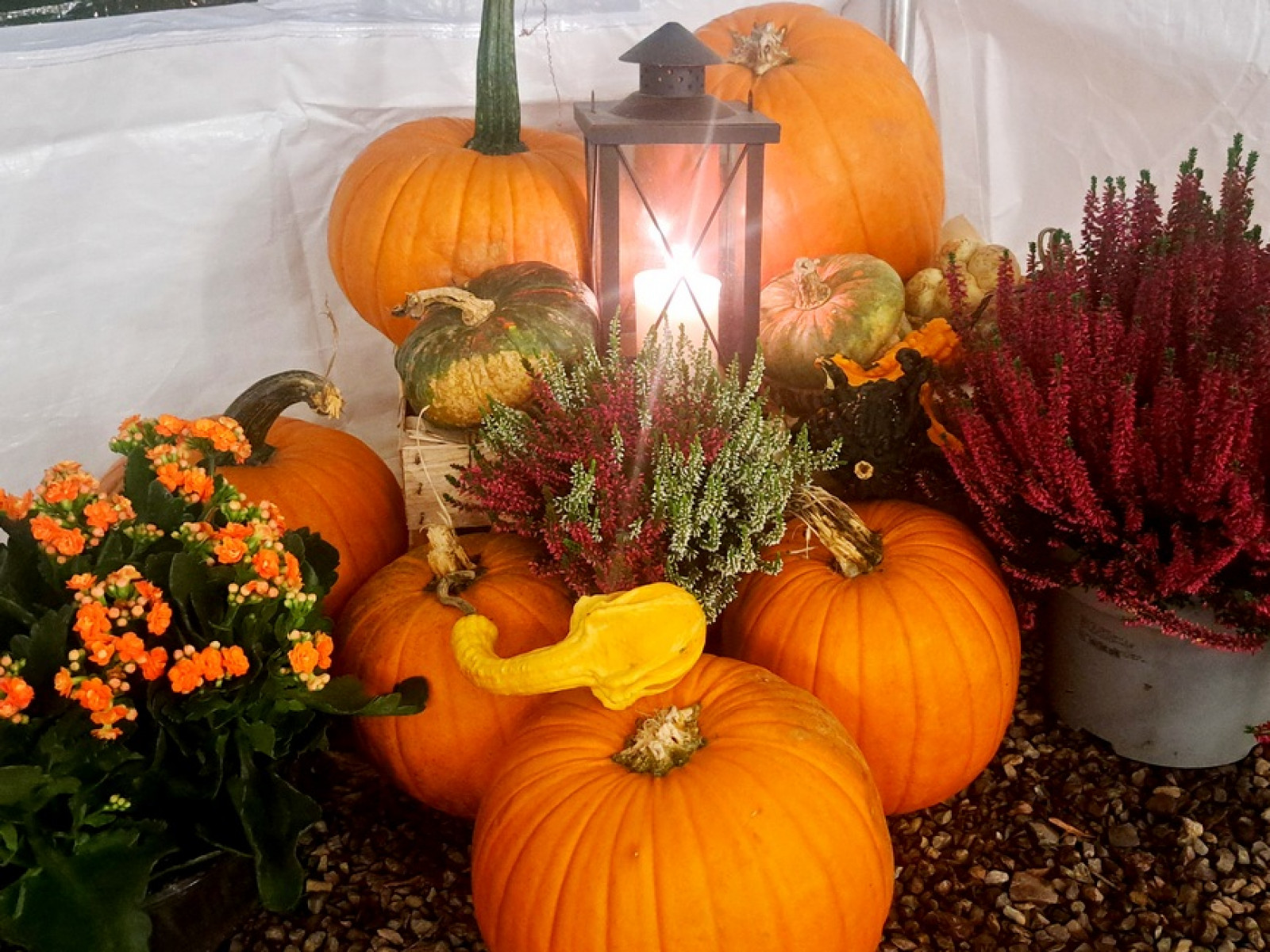 Kürbis Deko mit Laterne