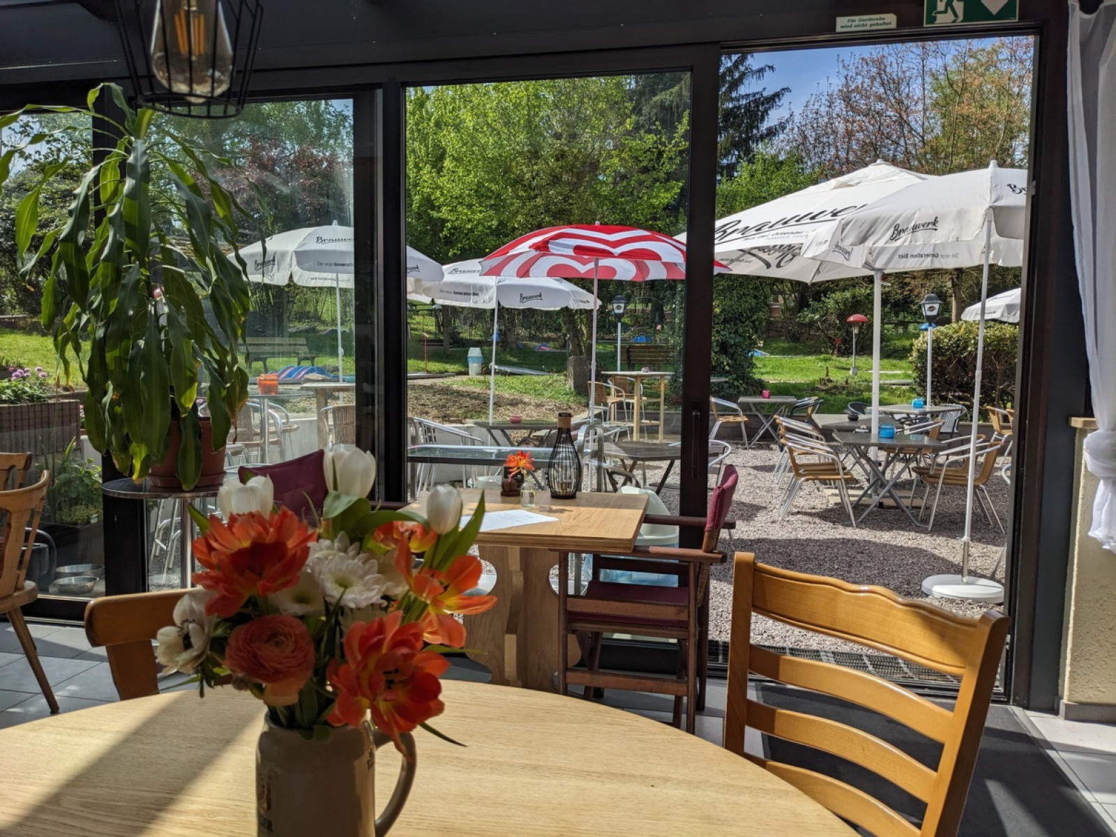 PXL 20250427 093053188.klein