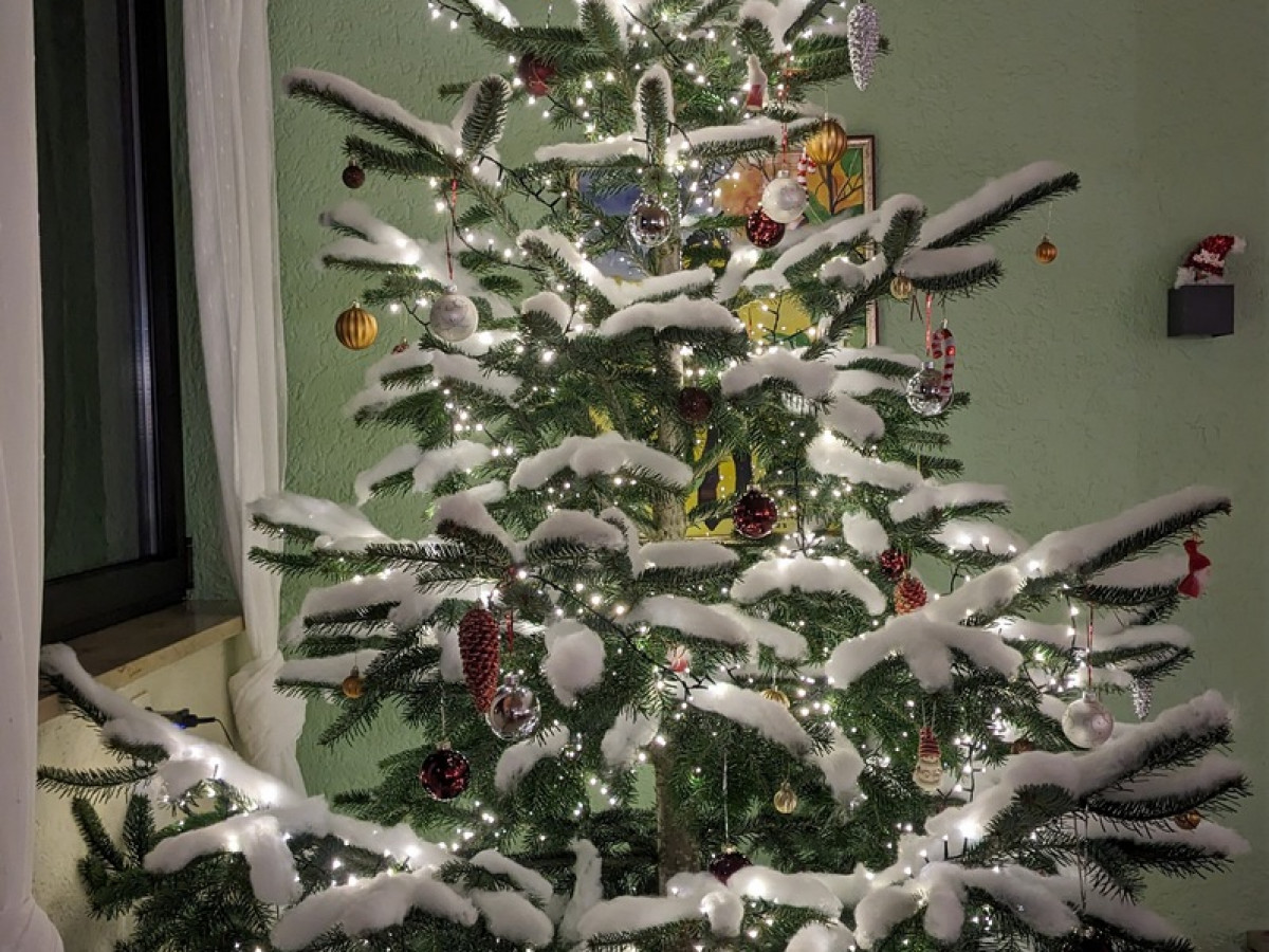 Weihnachten Baum innen